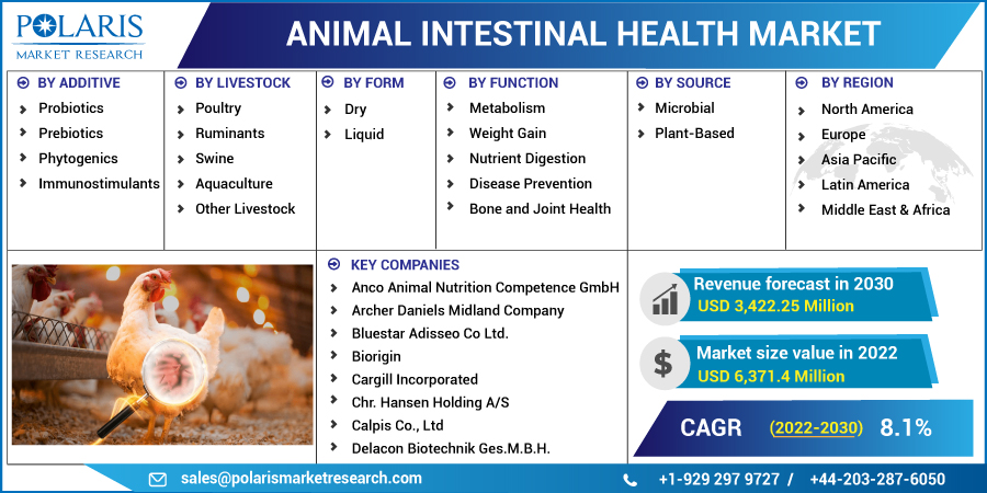 Animal Intestinal Health Market